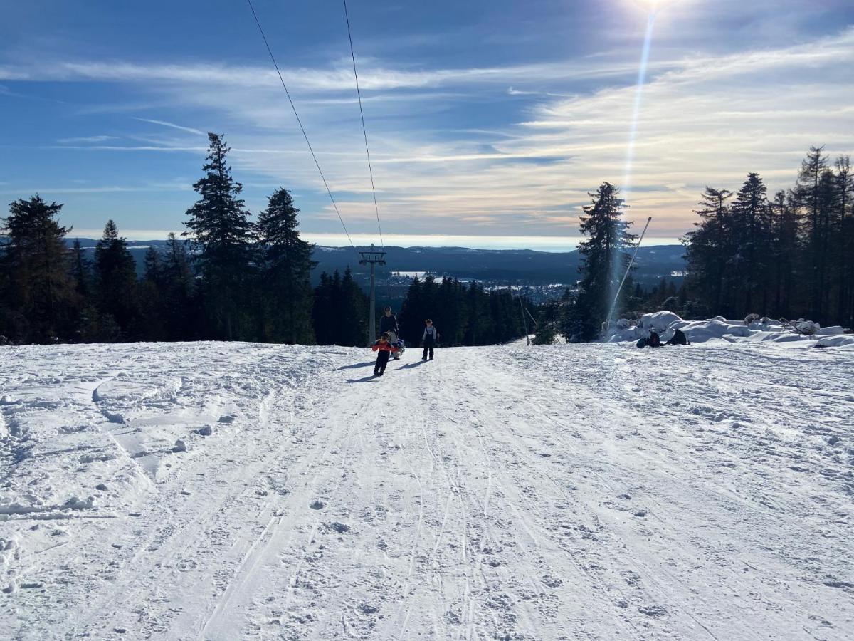 Luxurioese 3-Zi. Ferienwohnung Jagdromantik 200 M Bis Zur Wurmbergsseilbahn Braunlage Esterno foto