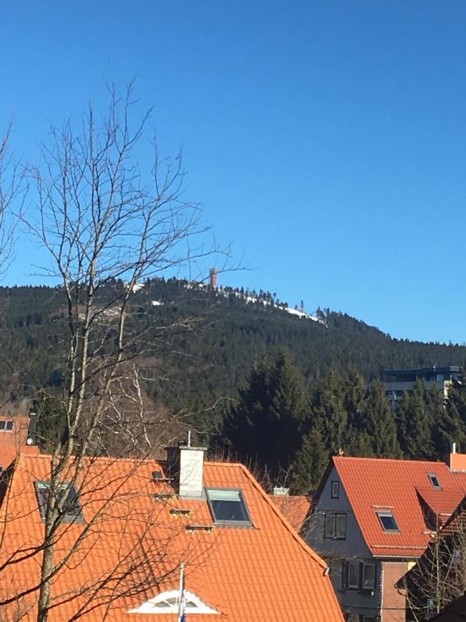 Luxurioese 3-Zi. Ferienwohnung Jagdromantik 200 M Bis Zur Wurmbergsseilbahn Braunlage Esterno foto